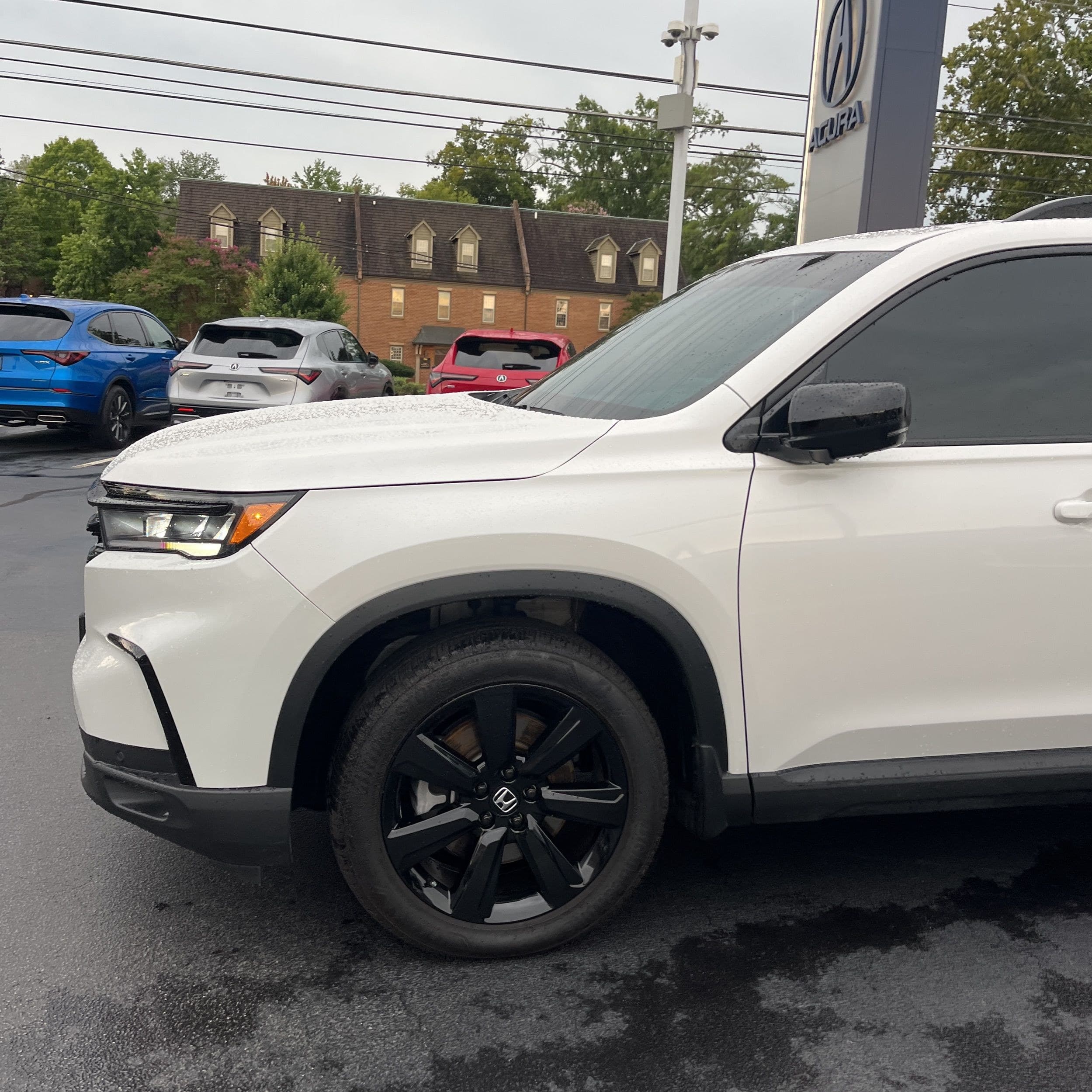 2025 Honda Pilot Black Edition photo 1
